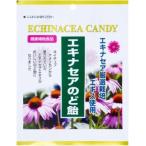 ショッピングエキナセア 【2個セット】生命の質ＱＯＬ研究会 エキナセアのど飴 60g (4589615350756-2)【メール便発送】