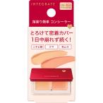  Shiseido Integrate meruti Fit консилер 4g(4909978148171)[ почтовая доставка отправка ]
