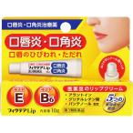 【第3類医薬品】【2個セット】ジャパンメディック フィクテアLip 10g (4956622110787-2)【メール便発送】