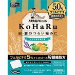 【第2類医薬品】パスタイムFXこはる 20枚【メール便発送】