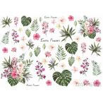  Poe погреб tsu белый фарфор для транскрипция бумага Exotic Flowers 30.5×21.5cm