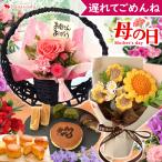 まだ間に合う 母の日 プレゼント 花 スイーツ 花とスイーツ セット 鉢植え カーネーション 花＆お菓子 和菓子 選べる39通り プリザーブドフラワー 2024 ギフト