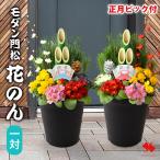 正月 年内お届け 門松 玄関 お正月 迎春 モダン門松 花のん 一対 寄せ植え仕立て 正月飾り お正月飾り 玄関用 花 お年賀 ギフト 2026