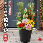 正月 年内お届け 門松 玄関 お正月 迎春 モダン門松 花やか 単品 寄せ植え仕立て 正月飾り お正月飾り 玄関用 花 お年賀 ギフト 2026