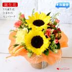 [ refrigeration flight ]. delivery birthday present flower birth flower . used arrangement 5 month carnation birth month. natural flower arrange S size woman ..... rice .. calendar old .