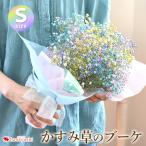 ショッピング花束 [冷蔵便]でお届け 花束 かすみ草のブーケS カスミソウ カラフル 花 母の日 誕生日 プレゼント 女性 母 おしゃれ 結婚祝い 退職祝い 発表会 フラワーギフト 生花