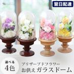 お供え プリザーブドフラワー 仏花 ガラスドーム 枯れない アレンジメントS 仏壇用 供花 お悔やみ 花 49日 法要 法事 お供え物 一周忌 命日 贈り物 弔花