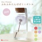 ドライフラワー ふわふわたんぽぽミニボトル 枯れないお花 コルクボトル たんぽぽ 綿毛 3個以上で送料無料<1配送先に限る> 花 女性 ギフト 誕生日 20代 30代
