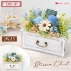 ブロッサムチェスト プリザーブドフラワー サマーギフト 夏 サマー おしゃれ 壁掛け 枯れない 花 ブリザードフラワー ギフト 贈り物 誕生日 お誕生日 プレゼント