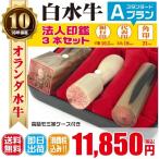 法人印鑑　はんこ　法人印３本セット　法人代表印18ｍｍ　法人銀行印16.5ｍｍ　法人角印21ｍｍ　オランダ水牛　会社設立　会社印　印鑑ケース付　印章　電子印鑑