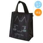 プレイステーション　保冷・保温バッグ　どこでもいっしょ　ブラック