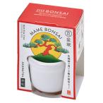 . новый керамика HACOMAME бонсай культивирование комплект GD965-2 красный сосна рукоятка z