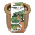 . новый керамика TheBONSAI красный сосна GD-99202 рукоятка z