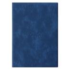 rotia(RHODIA) PVC жесткий чехол No16 для A5 cfrdphc16id индиго рукоятка z