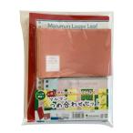 【お買い得】　マルマン（maruman）　マルマンつめ合わせセット ハンズ