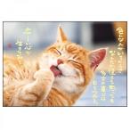  активный корпорация кошка открытка PB-418 рукоятка z