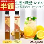 ショッピング半額 [半額クーポン配布中★] しょうが ジンジャーシロップ マヌカハニーストロング＆アカシアハニーマイルド 250g×2個 ジンジャーエールの素 生姜はちみつ 生姜蜂蜜