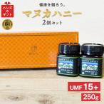 ギフト マヌカハニー UMF15+ 250g×2個 ギフトセット MGO512以上 はちみつ 蜂蜜 プレゼント ハニーバレー