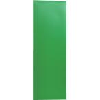 TRUSCO Trusco Nakayama магнит сиденье без блеска 100X300 зеленый MS-N1-GN