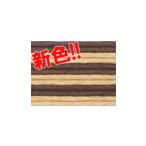 【在庫限り】オリジナル紙バンド クラフトバンド 手芸用 ツートンカラー パステルベージュ＋モカ 12本どり 約30m （8142653）送料別 通常配送