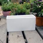 陶器鉢 植木鉢 ホワイトポット横長型 大 幅30cm×高さ15cm