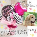 お誕生日 バルーンギフト バルーン電報 １歳誕生日 祝電 御祝 ペット用ギフト お菓子 バスギフト あすつく バルーンポット ピンクドッツ・バースデイ