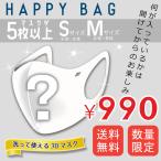 福袋 2021 ハッピーバック happybag2021 マスク 5パック 1500円 送料無料