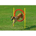  Agility товары Германия KARLIE собака Agility товары Agility собака обруч комплект 
