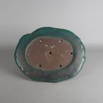 [ б/у ] бонсай горшок Tokoname гора осень средний длинная сторона примерно 33cm деформация эллипс горшок глазурь на данный момент товар б/у горшок 