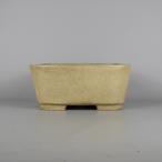 [ б/у ] бонсай горшок Tokoname .. структура средний длинная сторона примерно 24.8cm правильный person горшок . угол глазурь правильный угол на данный момент товар б/у горшок 