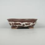 [ б/у ] бонсай горшок документ гора Echizen документ гора средний длинная сторона примерно 22cm эллипс горшок глазурь на данный момент товар б/у горшок 