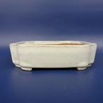 [ б/у ] бонсай горшок . Kobayashi маленький размер длинная сторона примерно 12cm длина person горшок . входить белый . China горшок на данный момент товар б/у горшок 