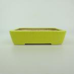 [ б/у ] бонсай горшок синий . маленький размер длинная сторона примерно 12.2cm длина person горшок глазурь на данный момент товар б/у горшок 