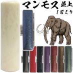 実印 マンモス 並上 印鑑ケース付 18mm 印鑑登録 18ミリ ハンコ 印鑑登録 おしゃれ 判子 作成 個人印鑑 印鑑 女性 男性