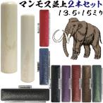 実印 マンモス 並上 印鑑 セット 『2本セット 実印15mm+銀行印13.5mm』 送料無料 赤ちゃん かわいい ハンコ おしゃれ 入れ フルネーム