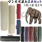 実印 マンモス 並上 印鑑 セット 『2本セット 実印16.5mm+銀行印15mm』 送料無料 赤ちゃん かわいい ハンコ おしゃれ 入れ フルネーム