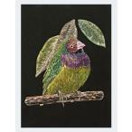 a- Tec scratch панель EX скребок artec школа обучающий материал школа сопутствующие товары 