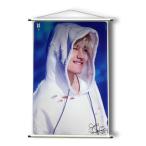 V (防弾少年団 / BTS) 大型 タペストリー ver2 (LARGE TAPESTRY v2) 90cm x 60cm SIZE グッズ