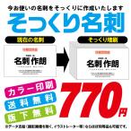 カラー名刺作成・そっくり名刺（1セット100枚）ケース付/送料込み