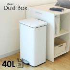 先行予約12月上旬入荷予定　レビュ