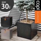 植木鉢 大型植木鉢 Capi キューブポット スムース 30cm 送料無料 鉢カバー 角型 カピ ブラック kbl902 ライトグレー kgr902