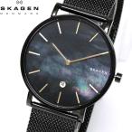 スカーゲン SKAGEN 腕時計 メンズ ハーゲン SKW6472 ブラックシェル×ブラック watch 時計