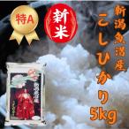 お米 5kg 魚沼産こしひかり 魚沼産コ