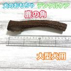 鹿の角【大型犬用】長さ:16cm〜17cm 太さ2cm〜2.5cm