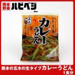 もっこす親父おすすめ 熊本の五木のカレーうどん【220g(めん200g)】同梱専用　※こちらの商品は野菜セット購入した方のみの同梱商品になります。