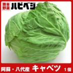 キャベツ【1個】同梱専用　※こちらの商品は野菜セット購入した方のみの同梱商品になります。