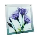 X RAY ガラス アート ジェンティアン Mサイズ XR-05008