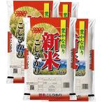 【出荷日に精米】 鹿児島県産 コシヒカリ 白米 20kg(5kg×4袋) 令和4年産 新米 2022年産