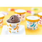 ガレープレミアムアイスクリーム８個セット ハピラグ特選25sf