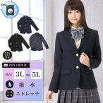 スクールブレザー 紺 チャコールグレー 大きいサイズ 3L 4L 5L 国内生産 学生 制服 上衣 ジャケット 女子 レディース 中学生 高校生 ネイビー スタンダード